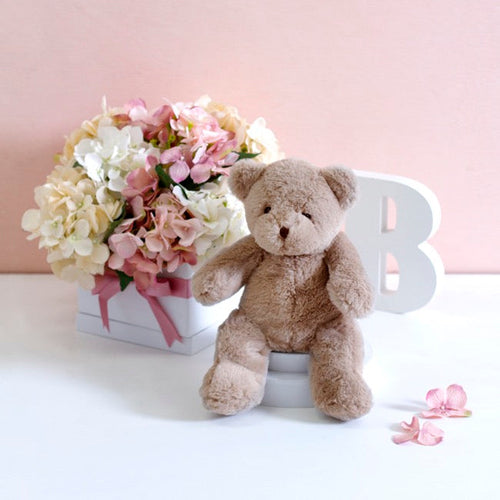 Alex Teddy Bear Brown (20cmST)