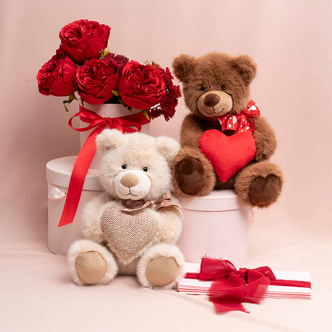 Teddy Bear Darren w Plush Heart Red (24cmST)