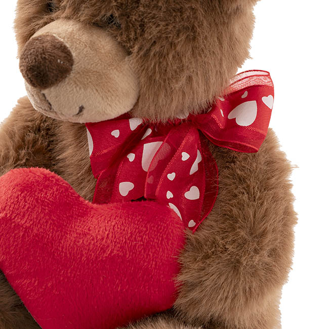 Teddy Bear Darren w Plush Heart Red (24cmST)
