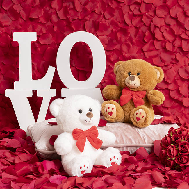 Teddy Bear Aiden w Red Bow Plush Soft Toy White (20cmST)