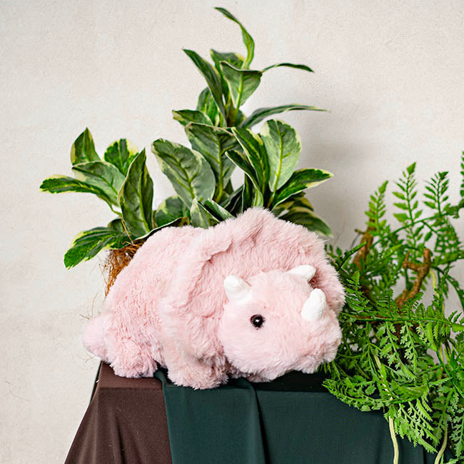Triceratops Dinosaur Plush Soft Toy Dusty Pink (31x16cmHT)