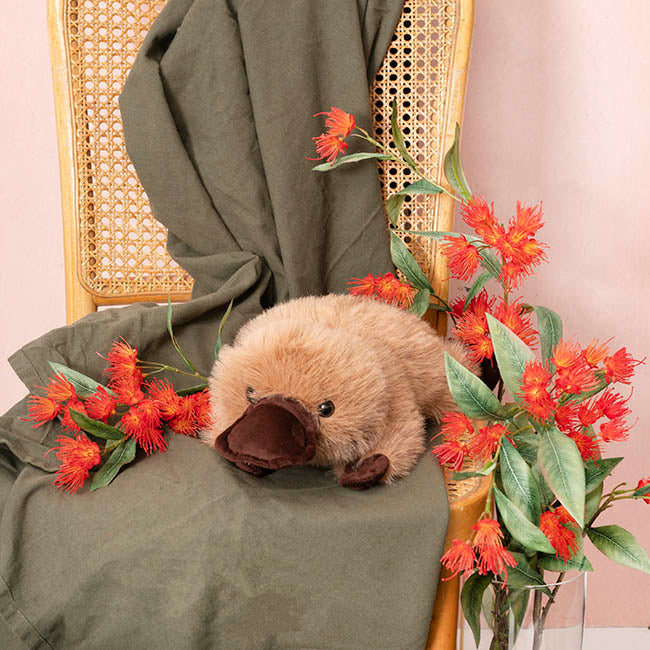 Platypus Penny Plush Soft Toy Brown (32x20cmHT)
