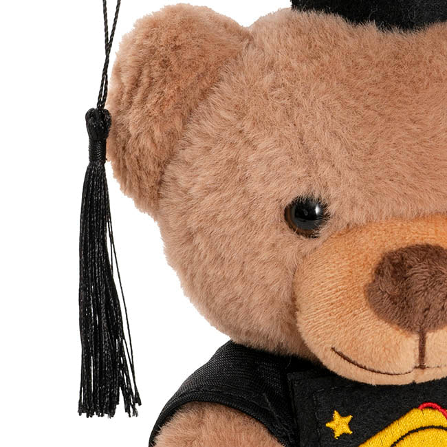 Graduation Teddy Bear Arnold w Congrats Top Brown (25cmST)