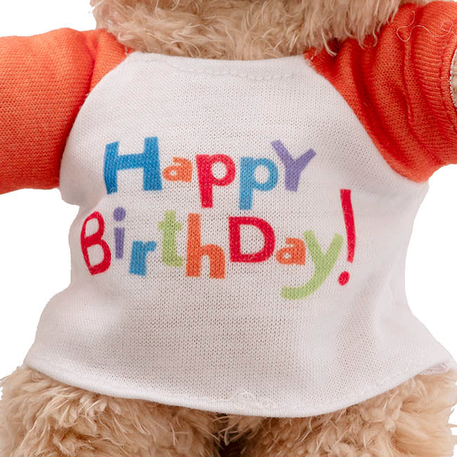 Teddy Bear Message Happy Birthday Orange T Shirt (20cmH)